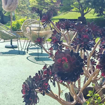 Venkovský dům El Paramo San Vicente De La Barquera