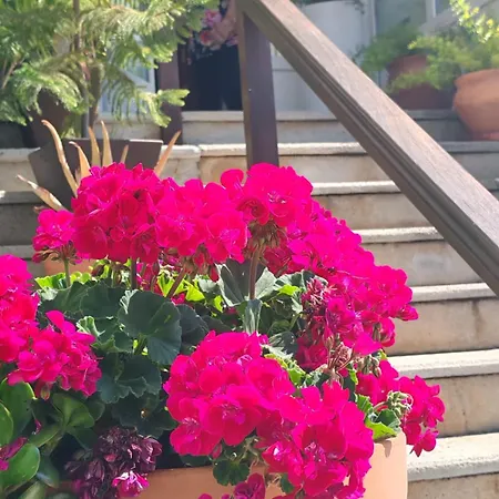 Casa di campagna El Paramo *