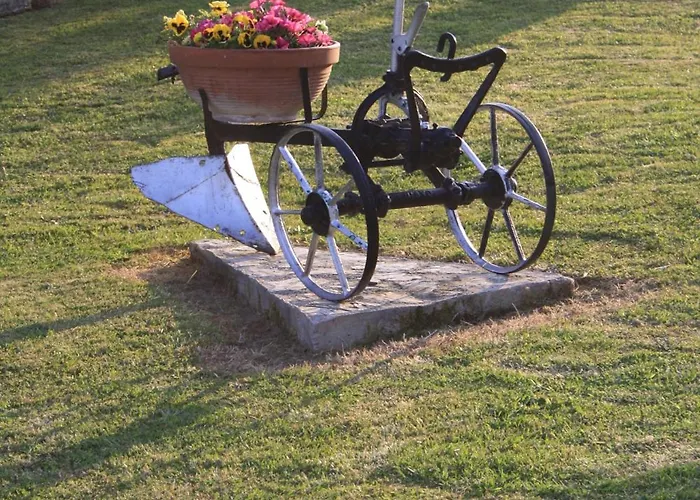 El Paramo San Vicente De La Barquera