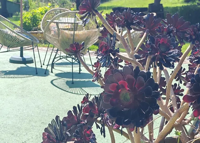 Country house El Paramo San Vicente De La Barquera