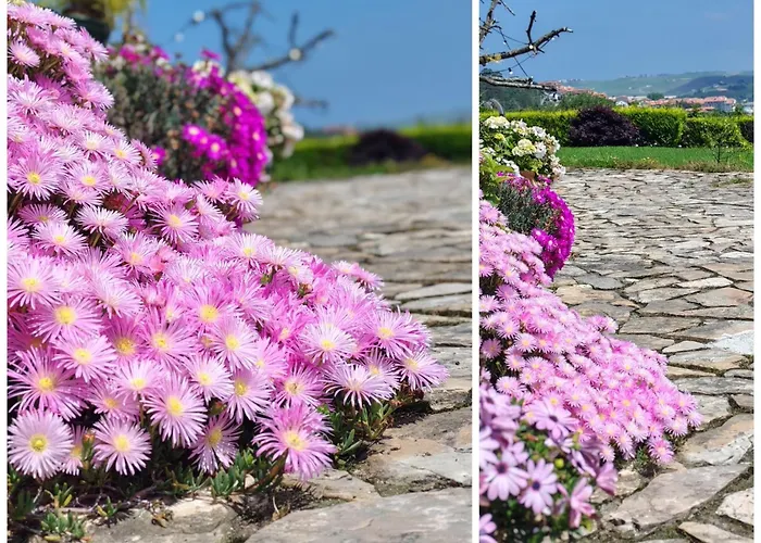 El Paramo Casa di campagna